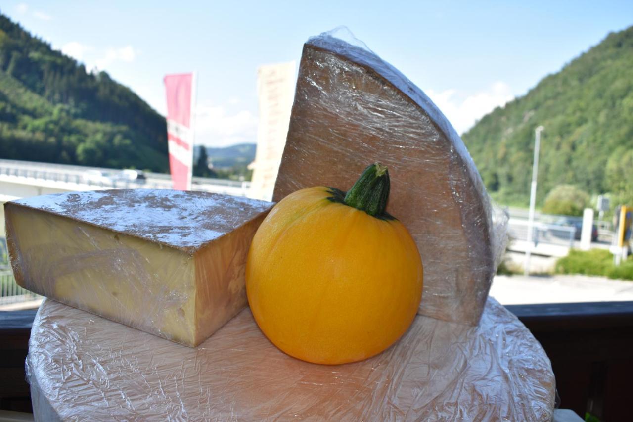 Gasthof Zur Donaubruecke Ardagger Markt Kültér fotó
